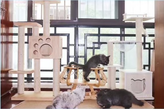 INDOOR SPACE