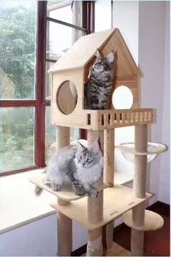 CAT TOWER
